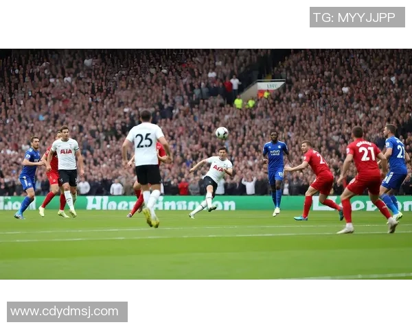 深圳足球队的拼搏之路与荣耀时刻的全景回顾